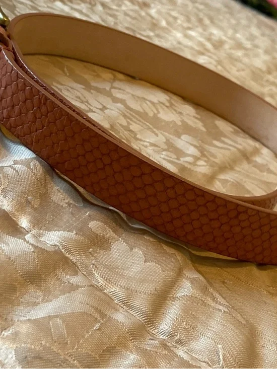 Isabel Marant Rust Brown Textured Goat Leather Belt - Picture 5 of 11